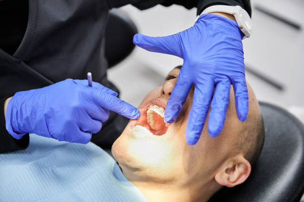Best Emergency Dentist for Special Needs Patients in Boulevard Gardens, FL